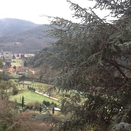Villa Torre Degli Onesti San Martino in Freddana Esterno foto